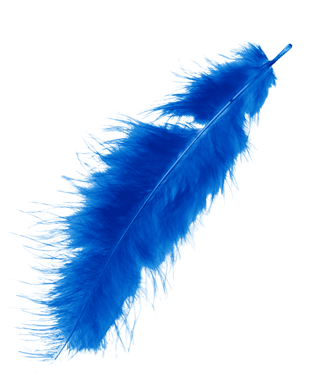 feather
