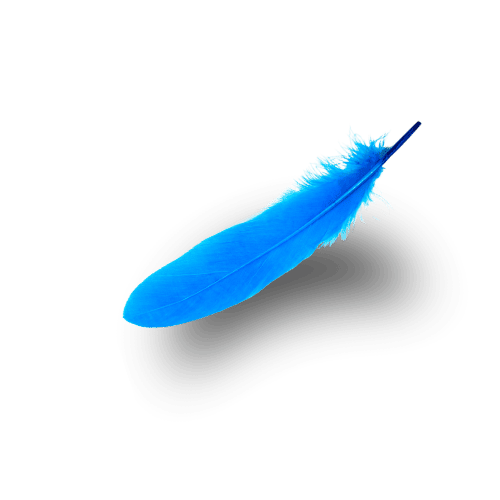 feather